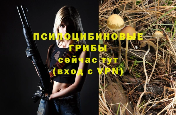 ешки Арсеньев